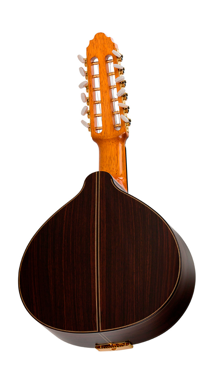 Vicente Carrillo Bandurria 20-B - Imagen 3