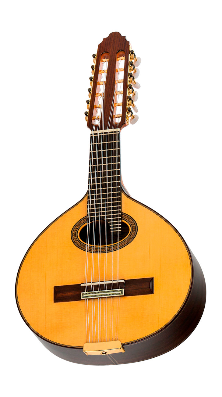 Vicente Carrillo Bandurria 20-B - Imagen 2