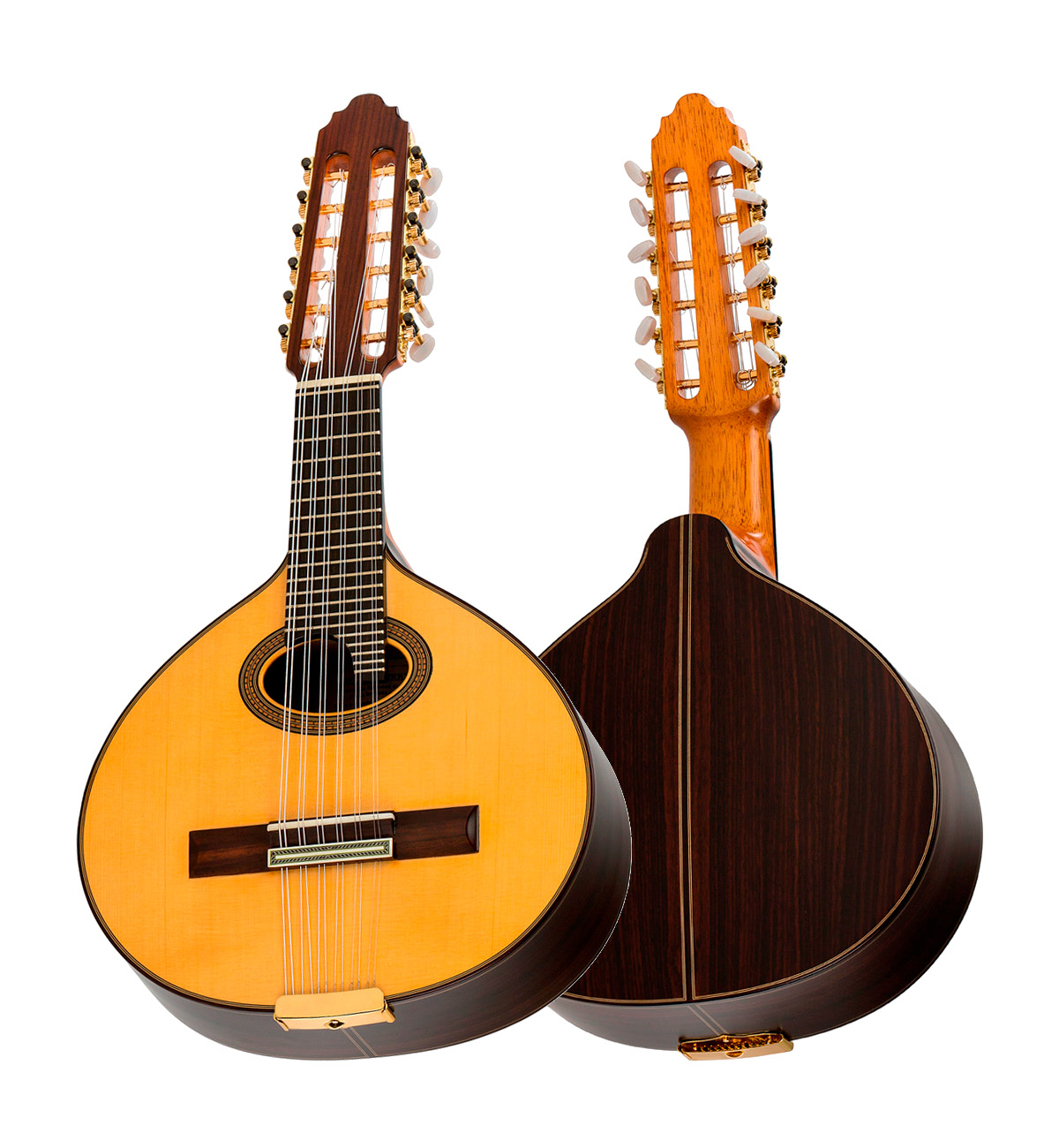 Vicente Carrillo Bandurria 20-B