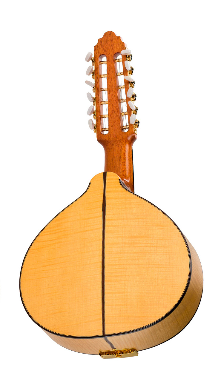 Vicente Carrillo Bandurria 30-B - Imagen 3