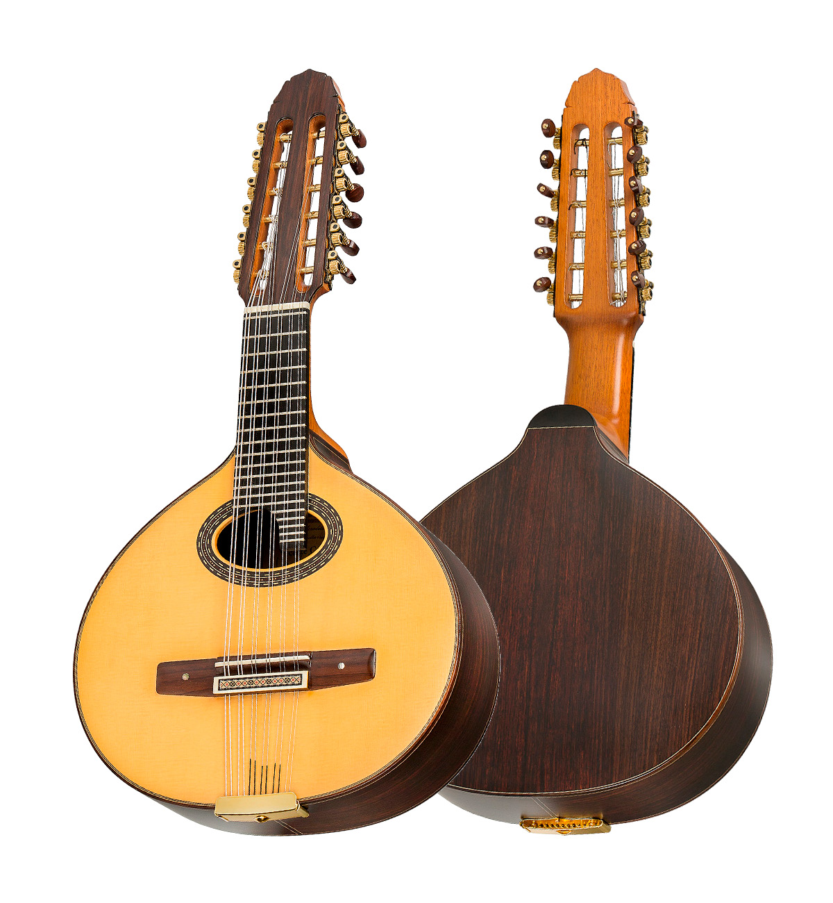 Vicente Carrillo Bandurria Dulcinea India