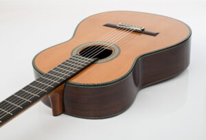 Vicente Carrillo Maestro Nomex - Imagen 4