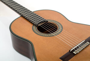 Vicente Carrillo Maestro Nomex - Imagen 5