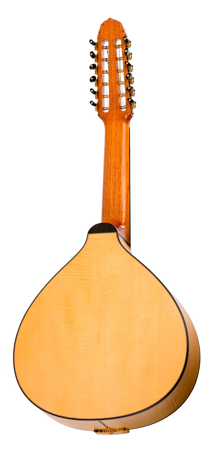 Vicente Carrillo Laud Quijote Arce - Imagen 3