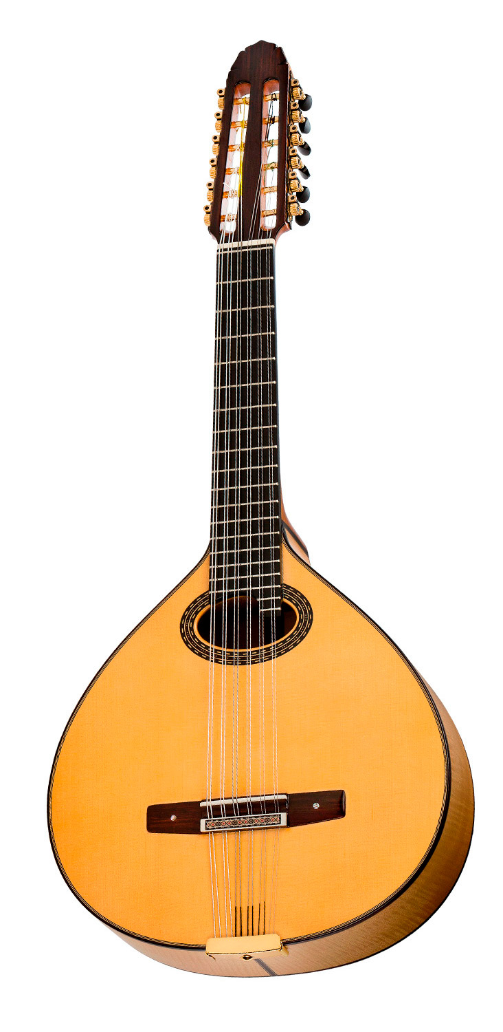 Vicente Carrillo Laud Quijote Arce - Imagen 2