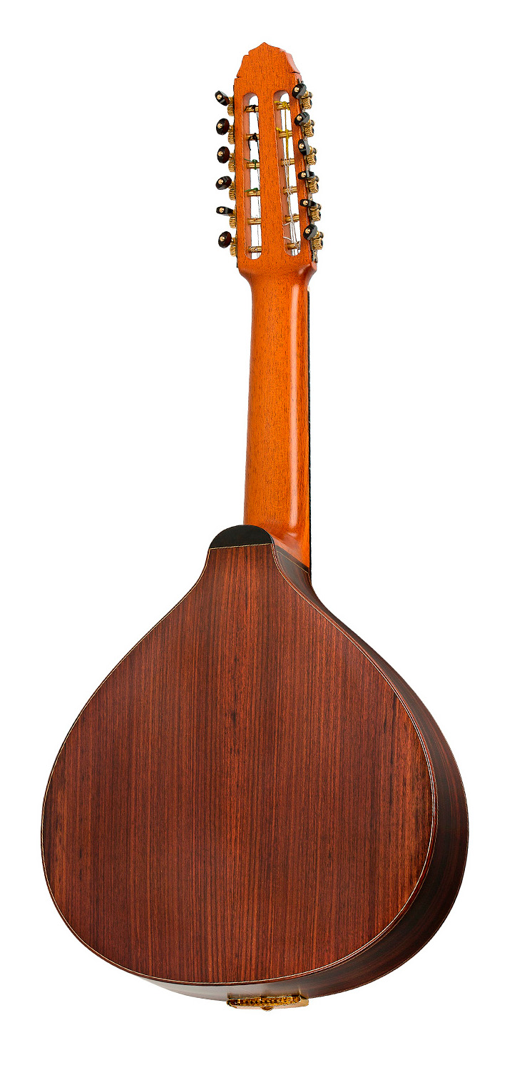 Vicente Carrillo Laud Quijote India - Imagen 3