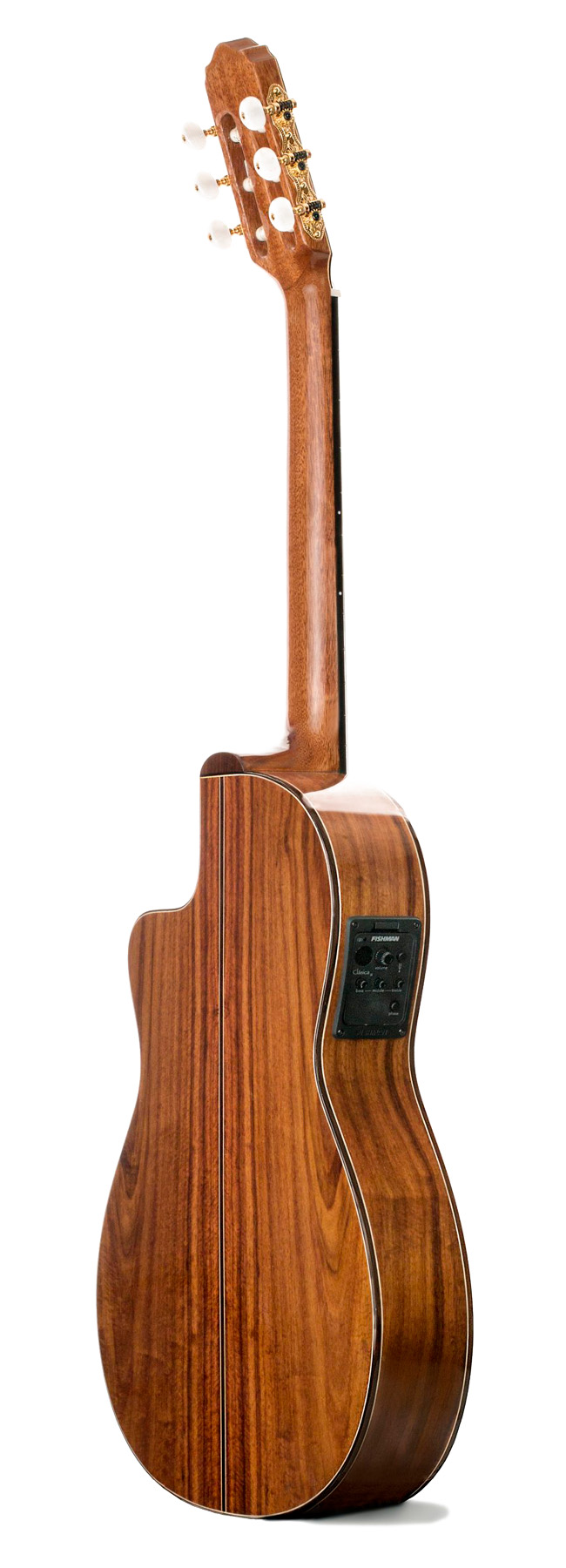 Prudencio Saez Cutaway 4-CW (56) - Imagen 3