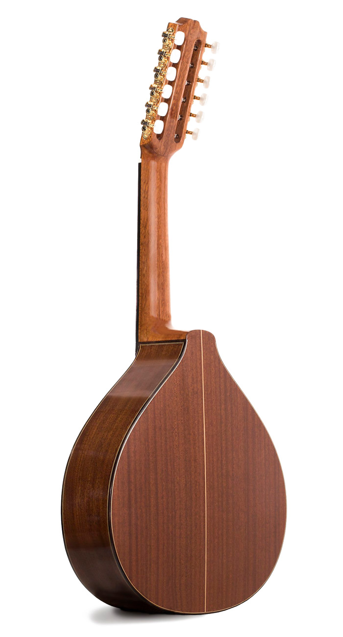 Prudencio Saez Laud 55 + Estuche de Foam - Imagen 3