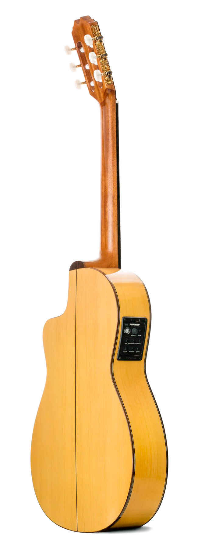 Prudencio Saez Cutaway 5-CW (57) - Imagen 3