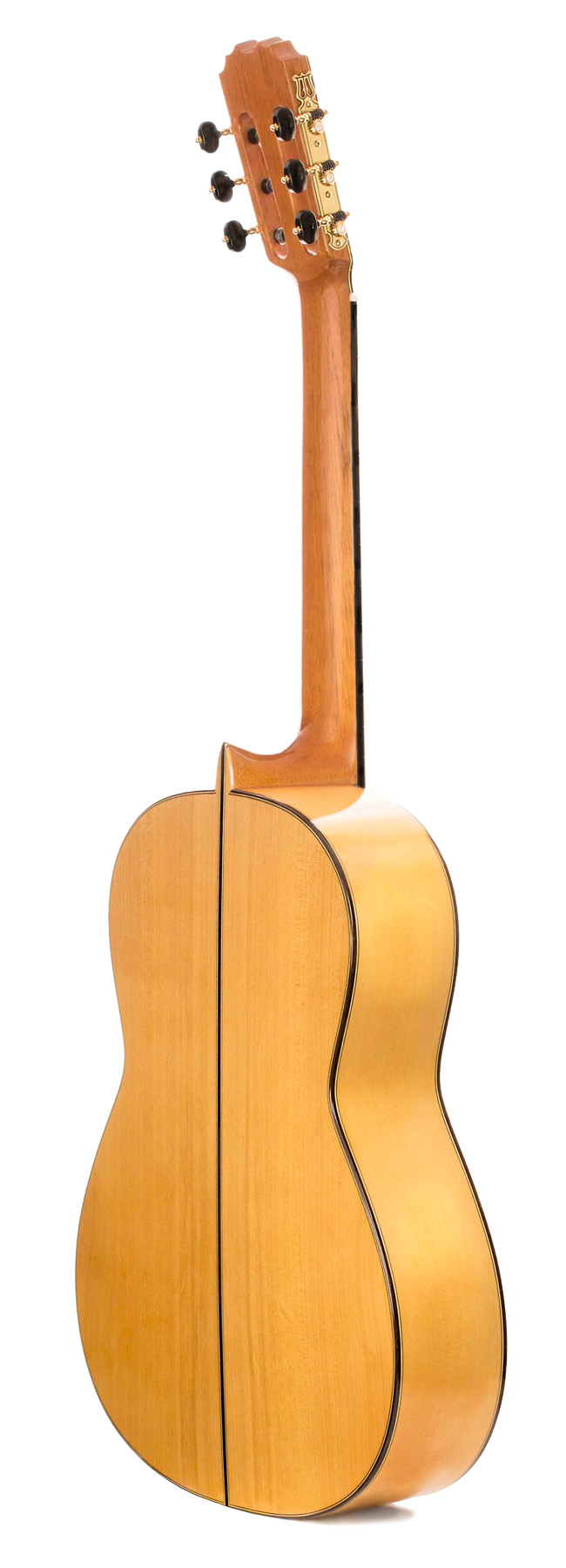 Prudencio Saez Flamenco Profesional 5-FP (S.P.) - Imagen 3