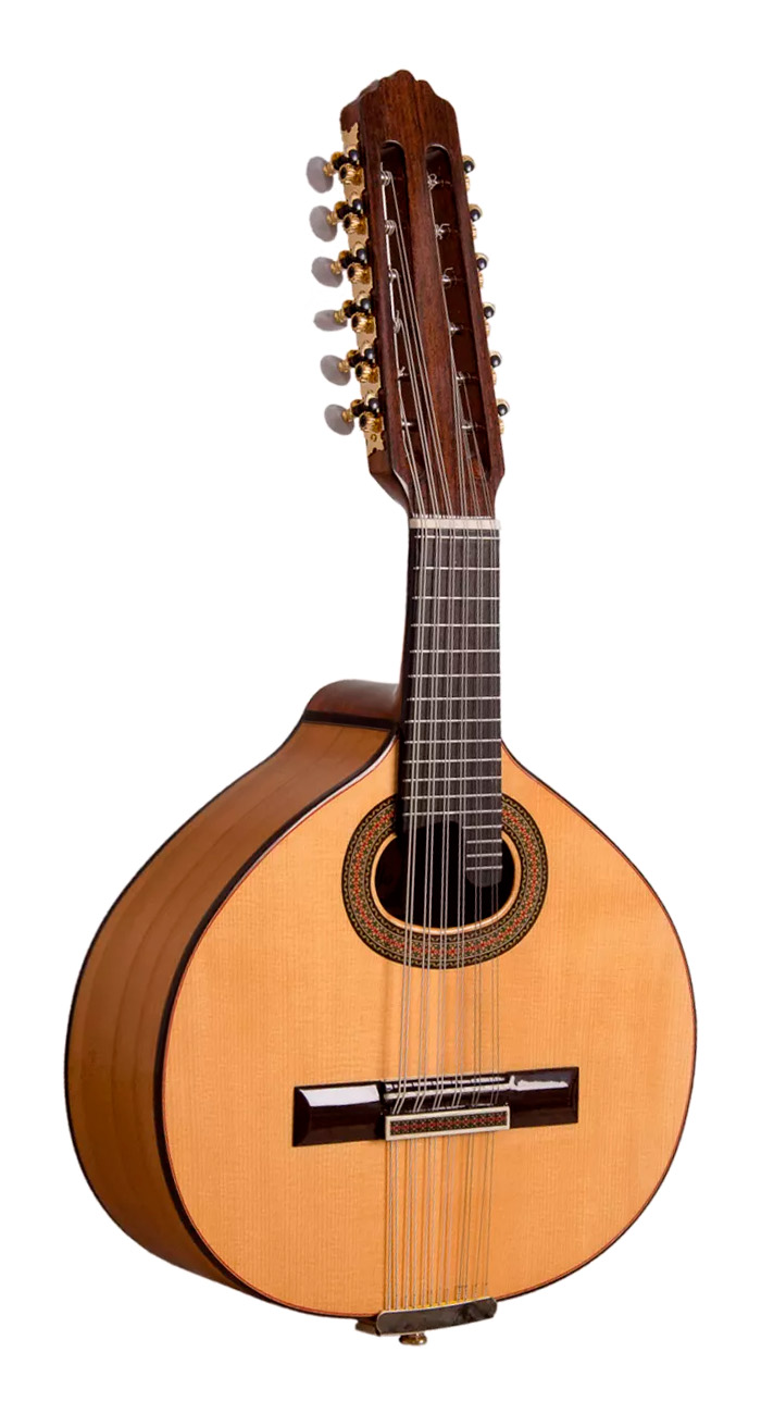 Paco Castillo Bandurria B4-C CIPRES - Imagen 2