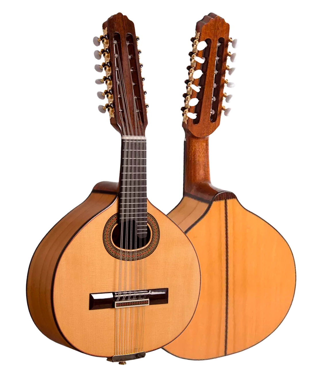 Paco Castillo Bandurria B4-C CIPRES