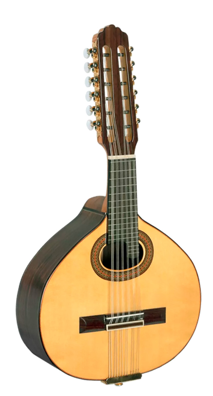 Paco Castillo Bandurria B5 - Imagen 2