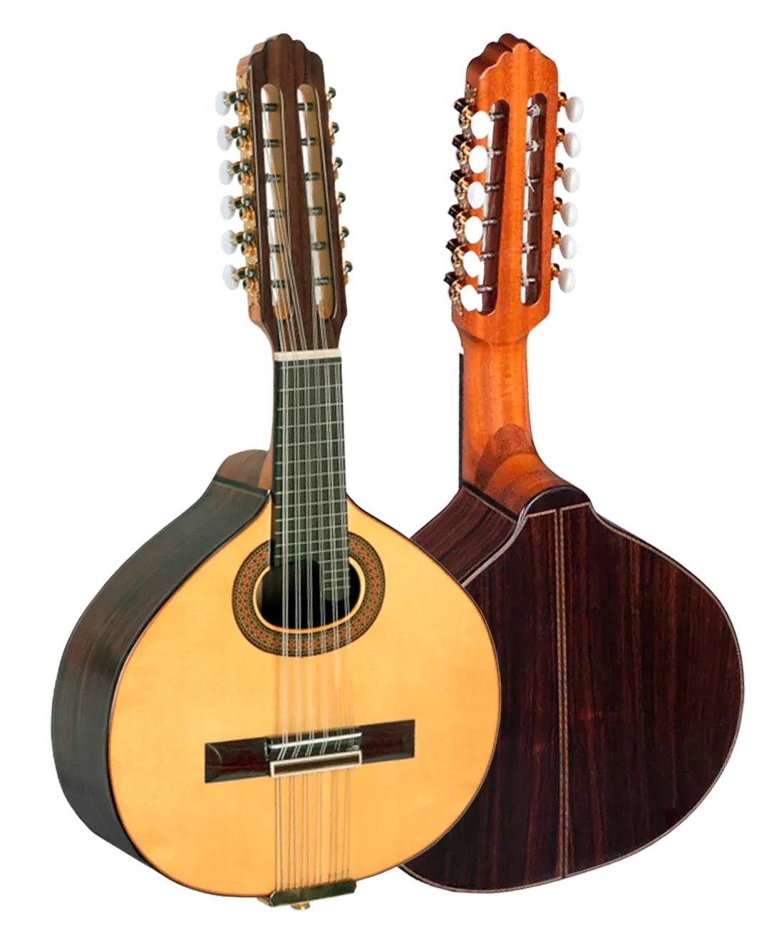 Paco Castillo Bandurria B5