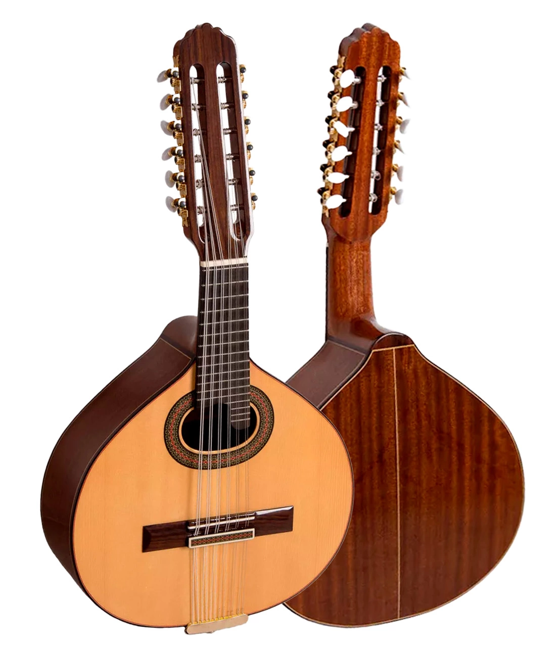 Paco Castillo Bandurria B4