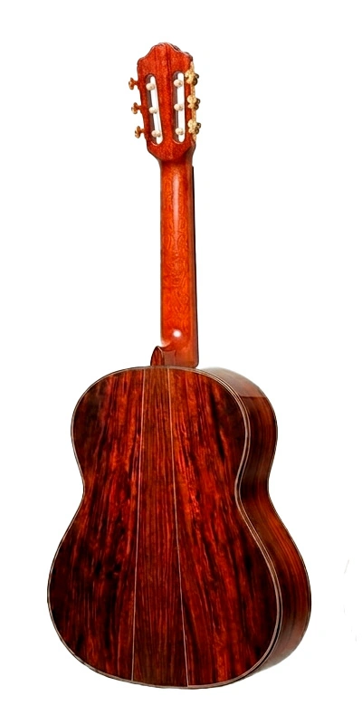 Esteve ANIVERSARIO Guitarra Clasica Profesional - Imagen 3