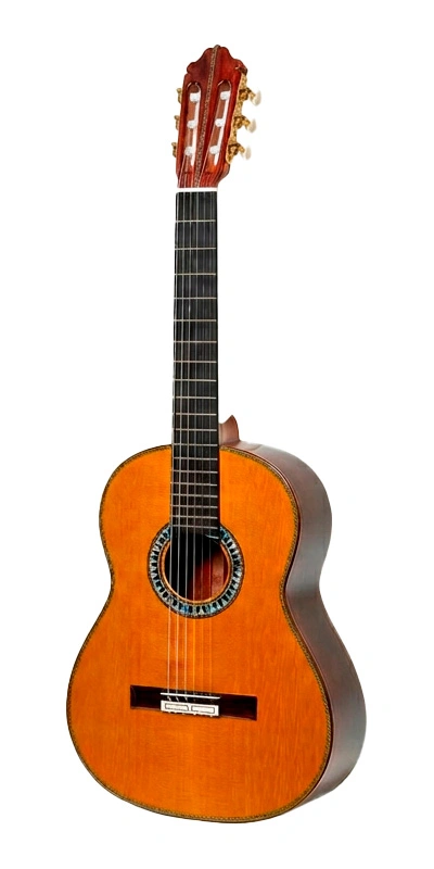 Esteve ANIVERSARIO Guitarra Clasica Profesional - Imagen 2