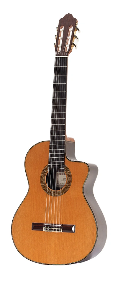 Esteve 7CE Guitarra Clasica Electrificada Prefix Pro Blend - Imagen 2